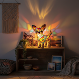 Élet egy chihuahuával