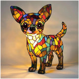 Élet egy chihuahuával
